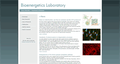 Desktop Screenshot of biochemlab.it