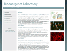 Tablet Screenshot of biochemlab.it
